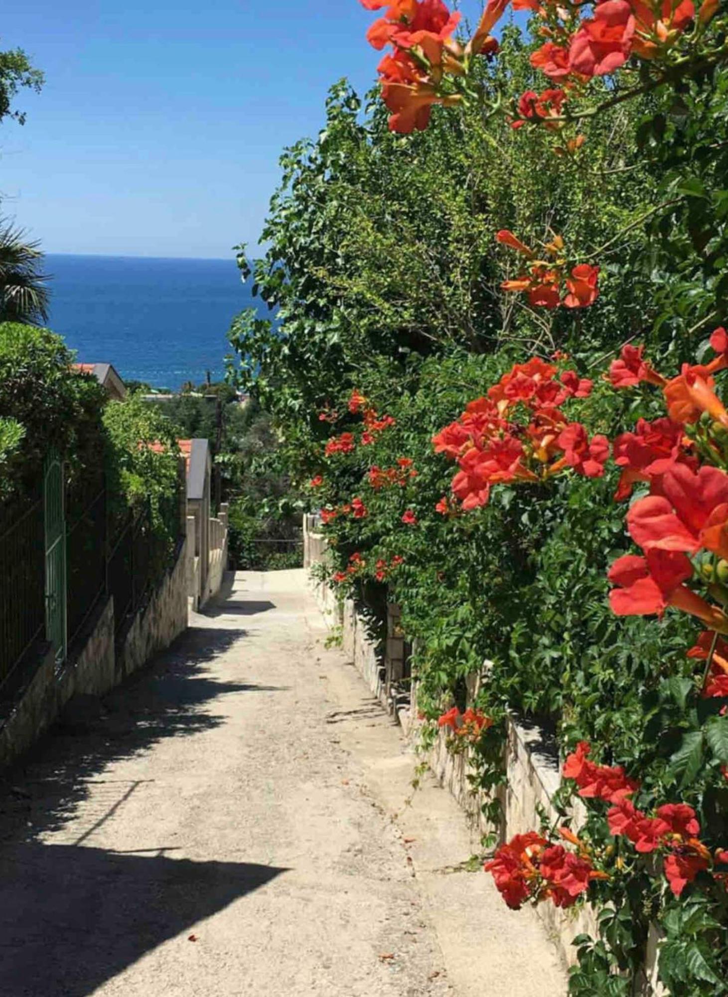 Bay View Apartments Petrovac Exterior foto